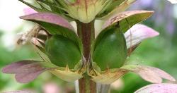 Image: Trevor James © Trevor James 